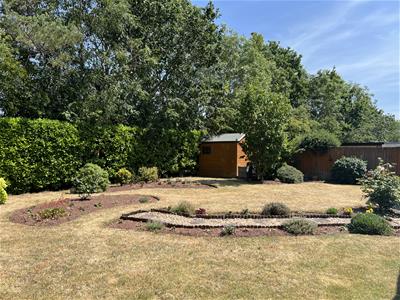 Picture 21